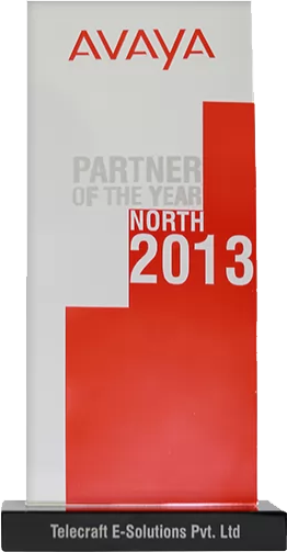 partner of the year 2013